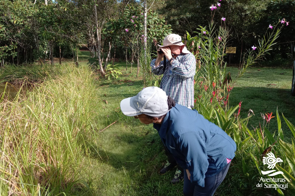 Lapa verde Reserve slide1-sarapiqui
