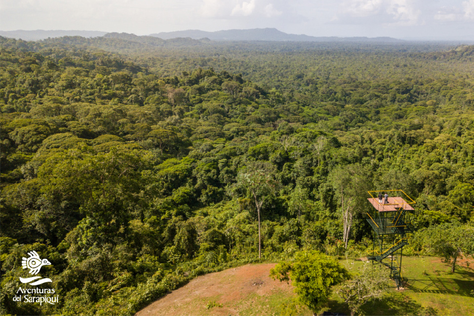 Lapa verde Reserve slide5-sarapiqui