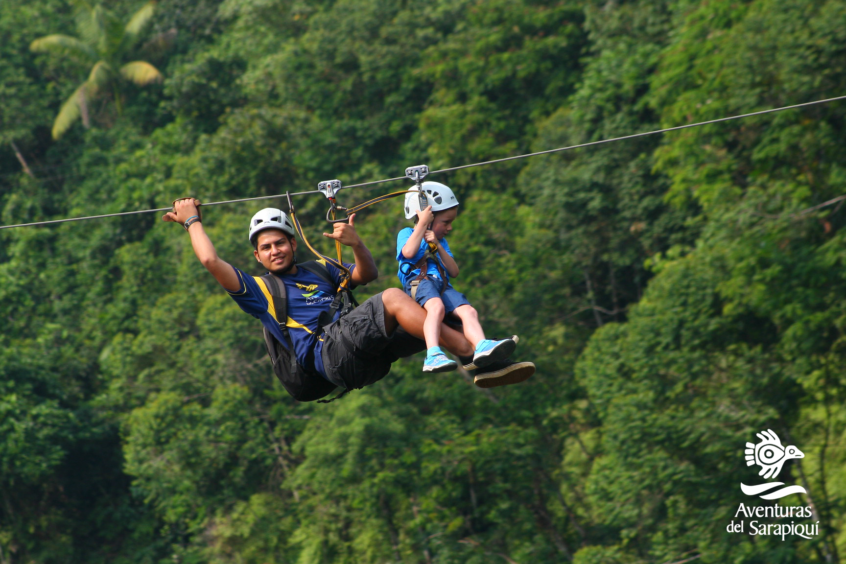 canopy (1)