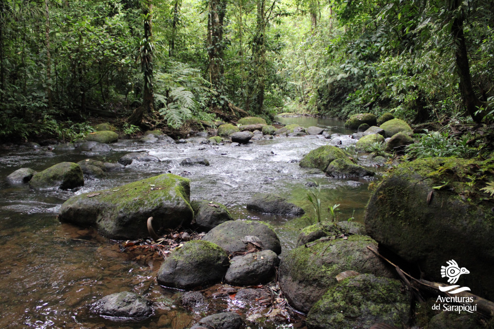 catarata Río Tirimbina slide7-sarapiqui